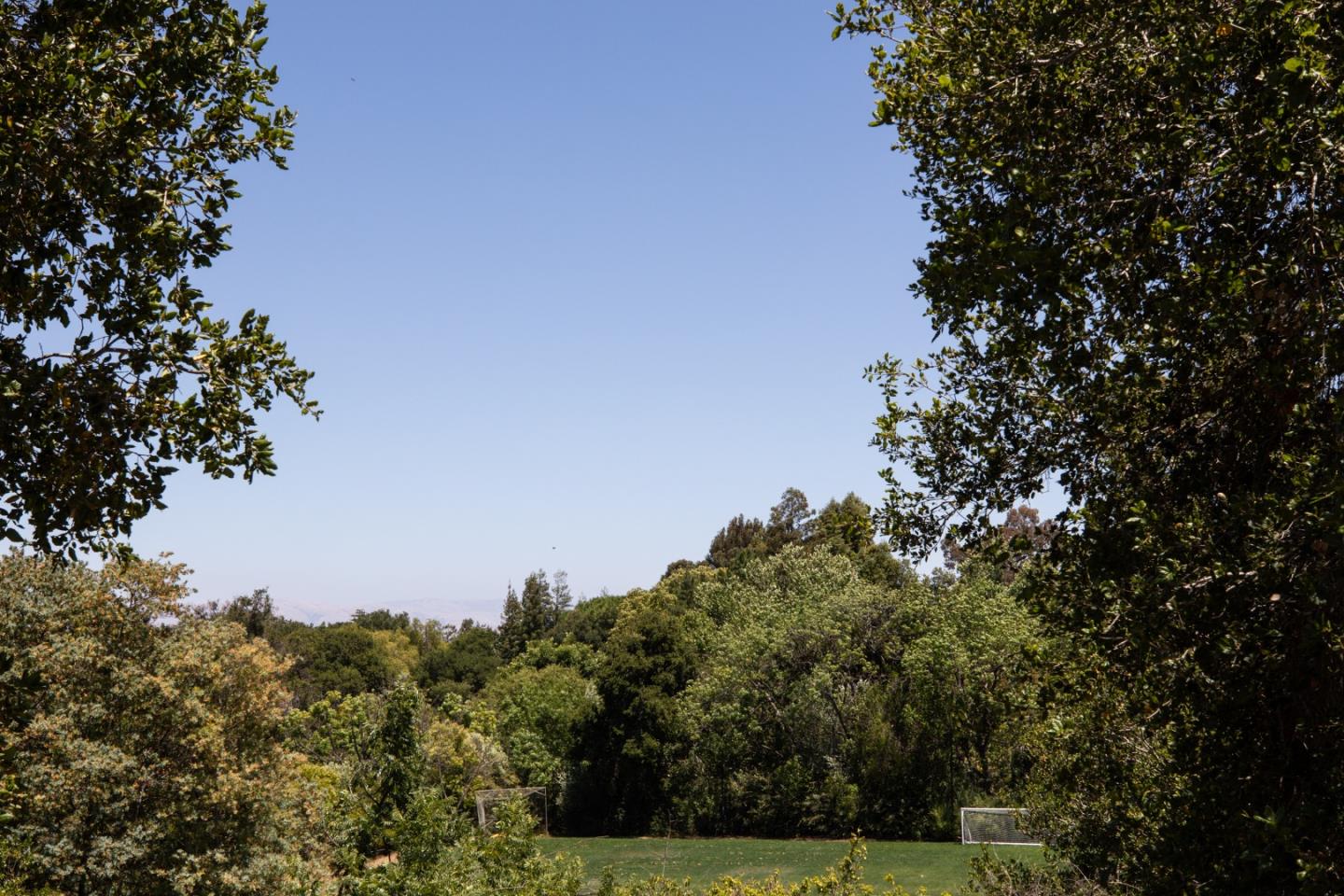 Detail Gallery Image 19 of 25 For 13888 Fremont Pines Ln, Los Altos Hills,  CA 94022 - 4 Beds | 3 Baths