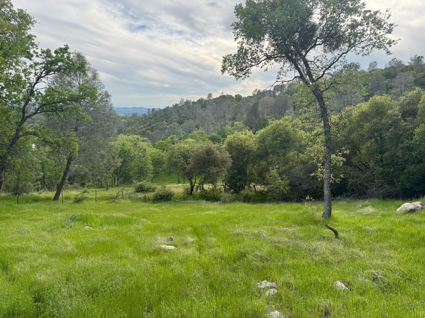 Detail Gallery Image 2 of 4 For Cabezut Cabezut Rd, Sonora,  CA 95370 - – Beds | – Baths