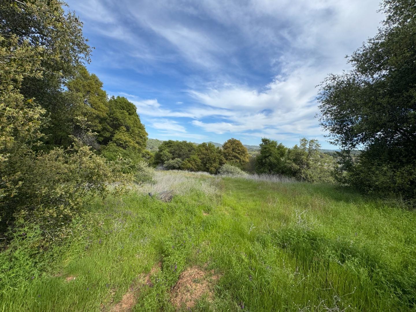 Detail Gallery Image 3 of 4 For Cabezut Cabezut Rd, Sonora,  CA 95370 - – Beds | – Baths