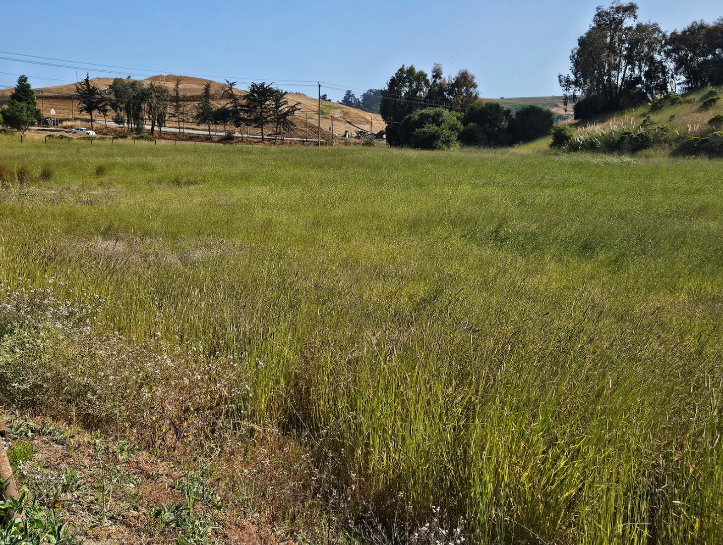 Commercial Properties