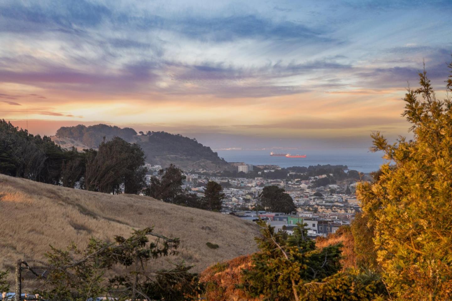 Detail Gallery Image 3 of 130 For 22 Chicago Way, San Francisco,  CA 94112 - 3 Beds | 2 Baths