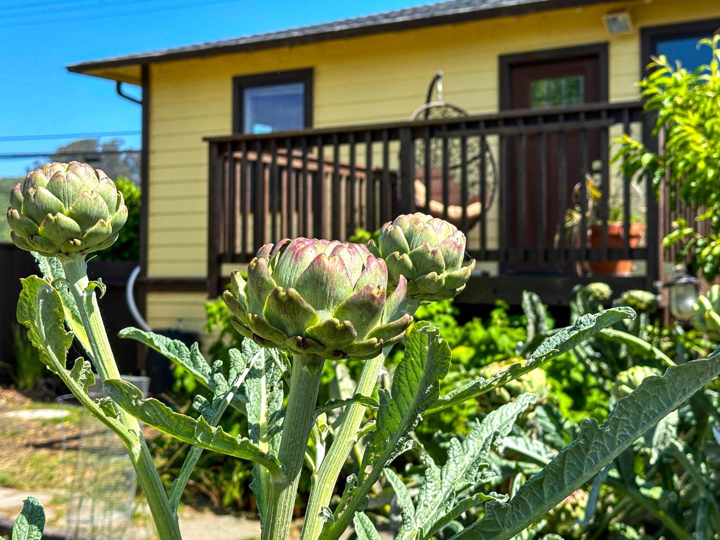 Detail Gallery Image 25 of 47 For 1441 Pescadero Creek Rd, Pescadero,  CA 94060 - 2 Beds | 1 Baths