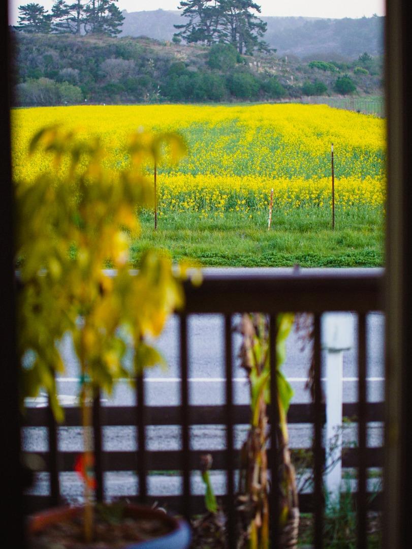 Detail Gallery Image 5 of 47 For 1441 Pescadero Creek Rd, Pescadero,  CA 94060 - 2 Beds | 1 Baths