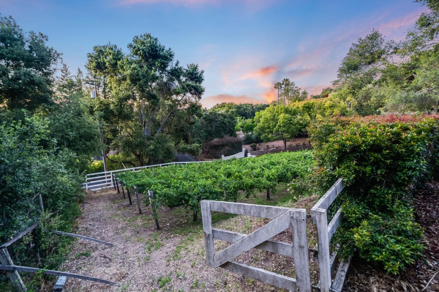 Detail Gallery Image 12 of 70 For 11510 Summit Wood Rd, Los Altos Hills,  CA 94022 - 5 Beds | 6 Baths