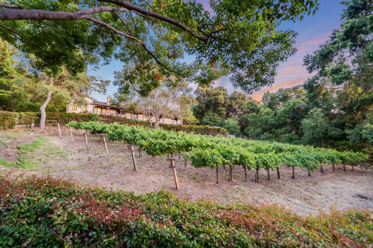 Detail Gallery Image 20 of 70 For 11510 Summit Wood Rd, Los Altos Hills,  CA 94022 - 5 Beds | 6 Baths