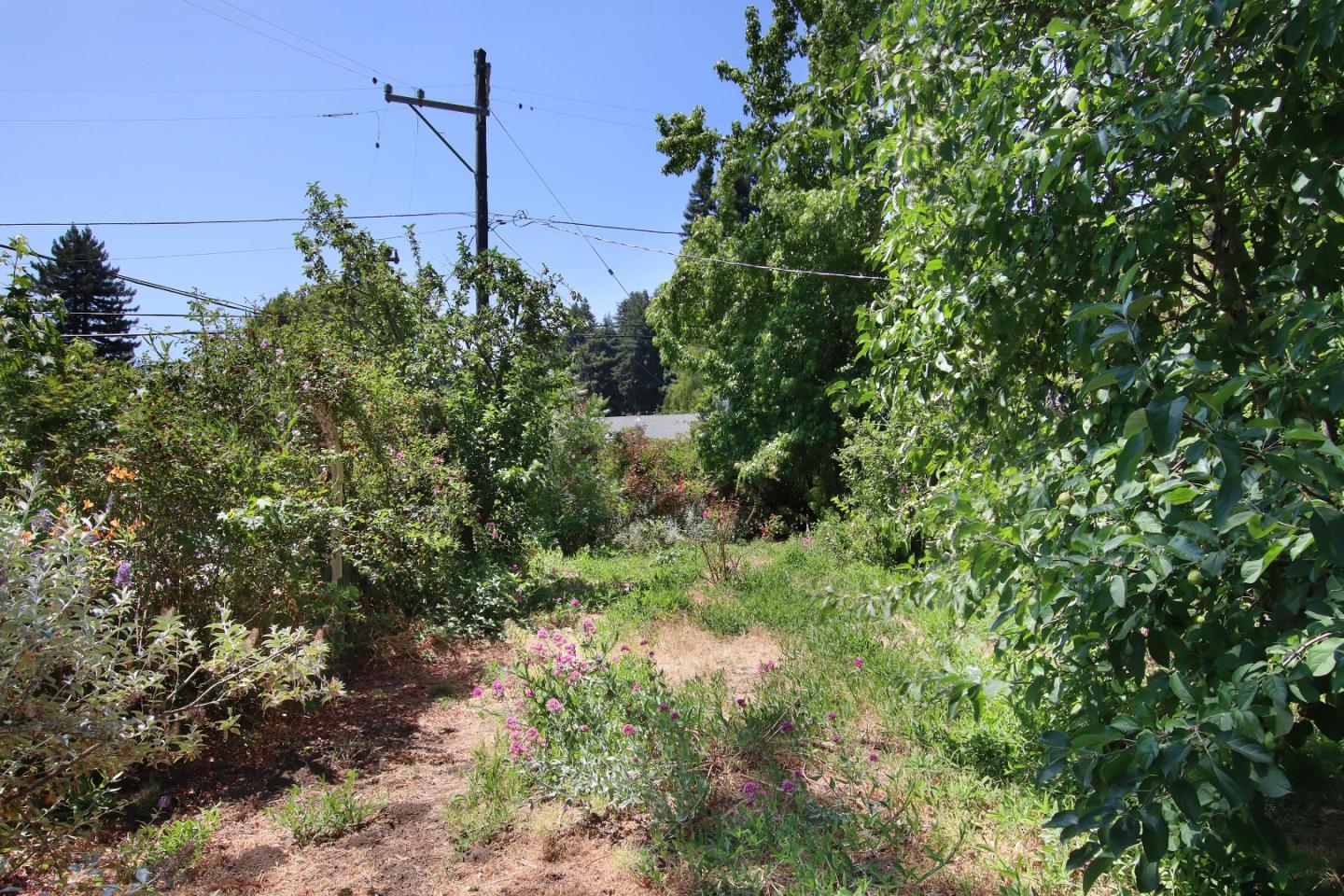 Detail Gallery Image 21 of 29 For 324 Laurel Dr, Felton,  CA 95018 - 2 Beds | 1 Baths