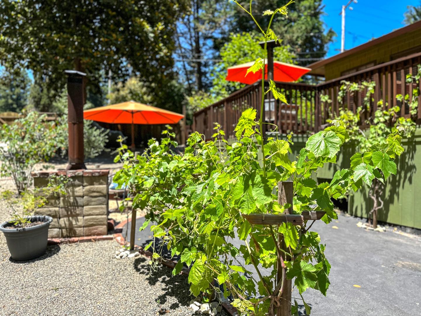 Detail Gallery Image 45 of 71 For 219 Redwood Dr, Felton,  CA 95018 - 3 Beds | 2 Baths