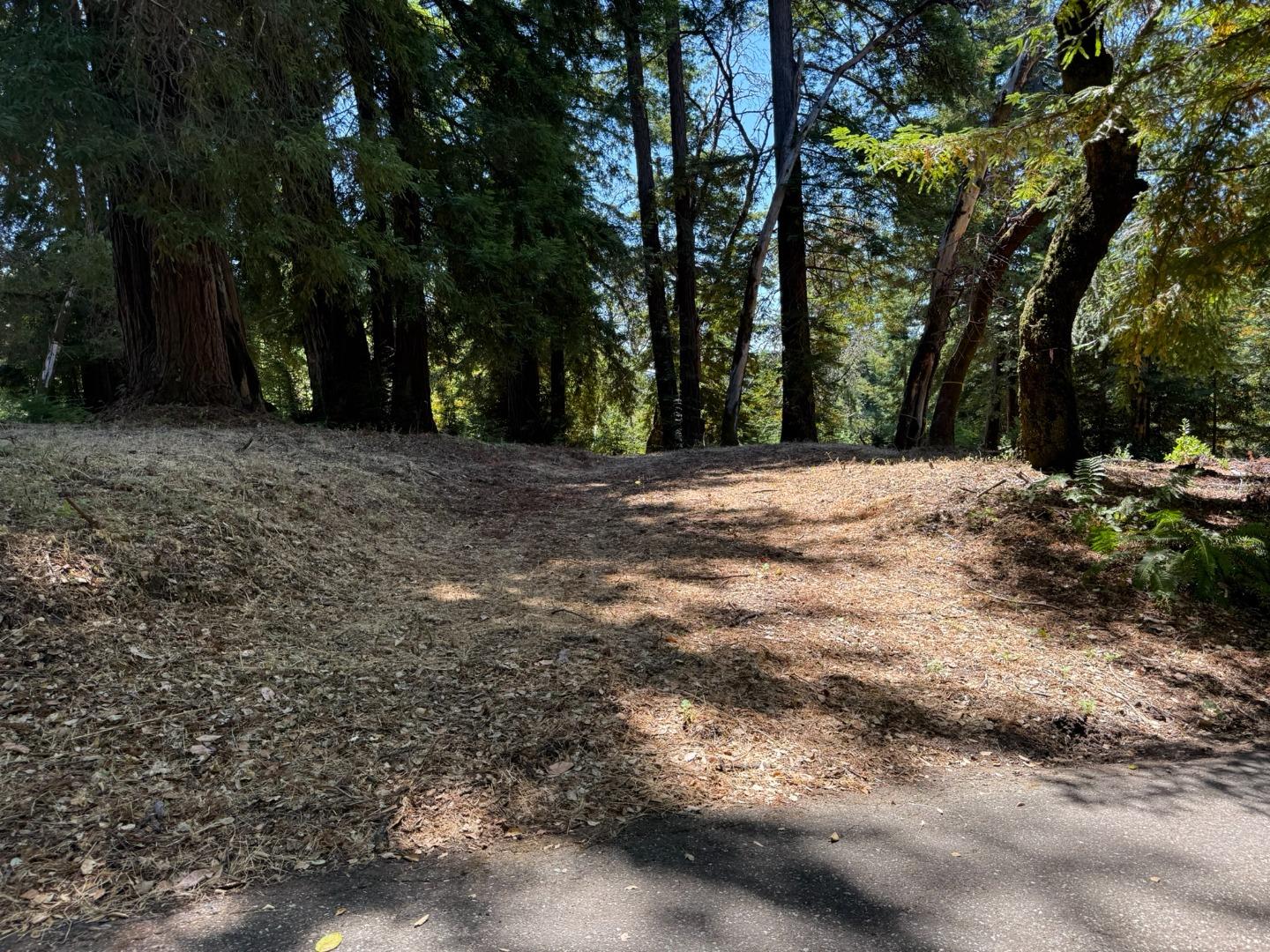 Detail Gallery Image 3 of 5 For 0 Debbie, Los Gatos,  CA 95033 - – Beds | – Baths