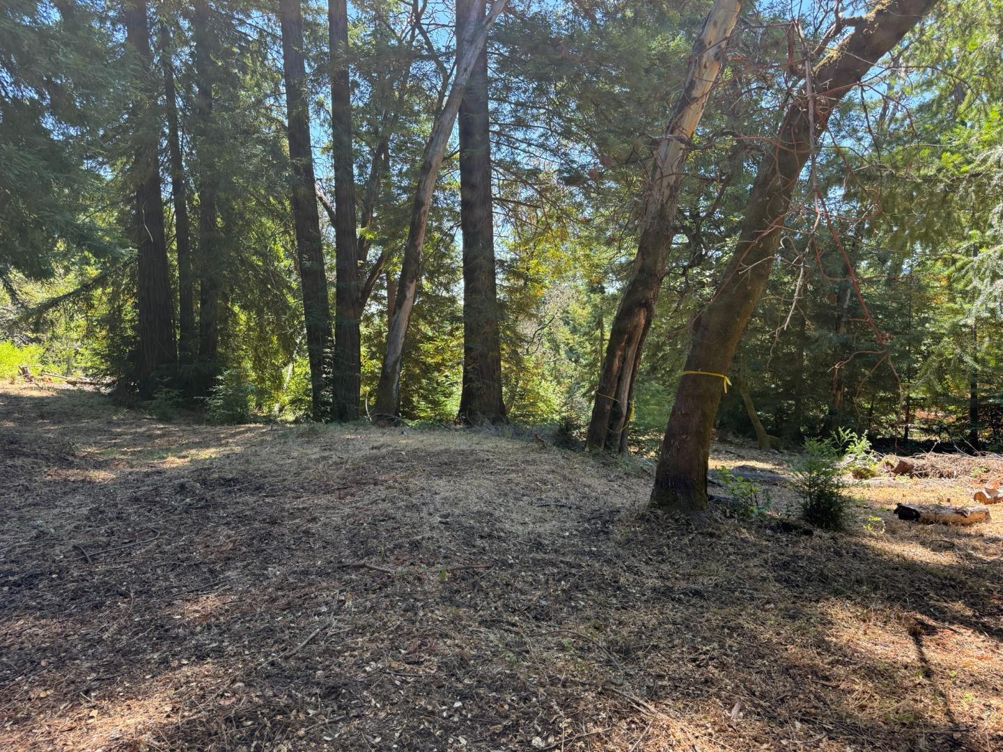 Detail Gallery Image 4 of 5 For 0 Debbie, Los Gatos,  CA 95033 - – Beds | – Baths