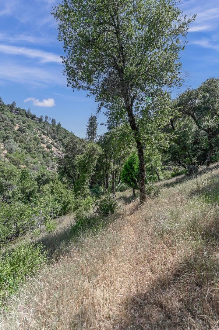Detail Gallery Image 71 of 78 For 18757 Sunrise Way, Tuolumne,  CA 95379 - 5 Beds | 4 Baths