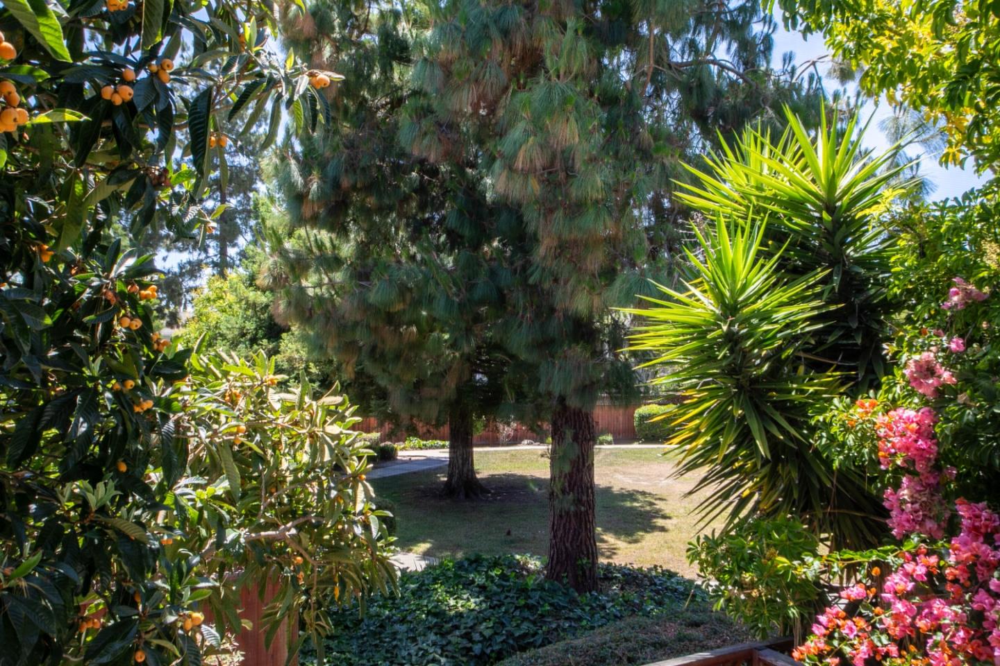 Detail Gallery Image 5 of 35 For 40189 Santa Teresa Cmn, Fremont,  CA 94539 - 2 Beds | 1/1 Baths
