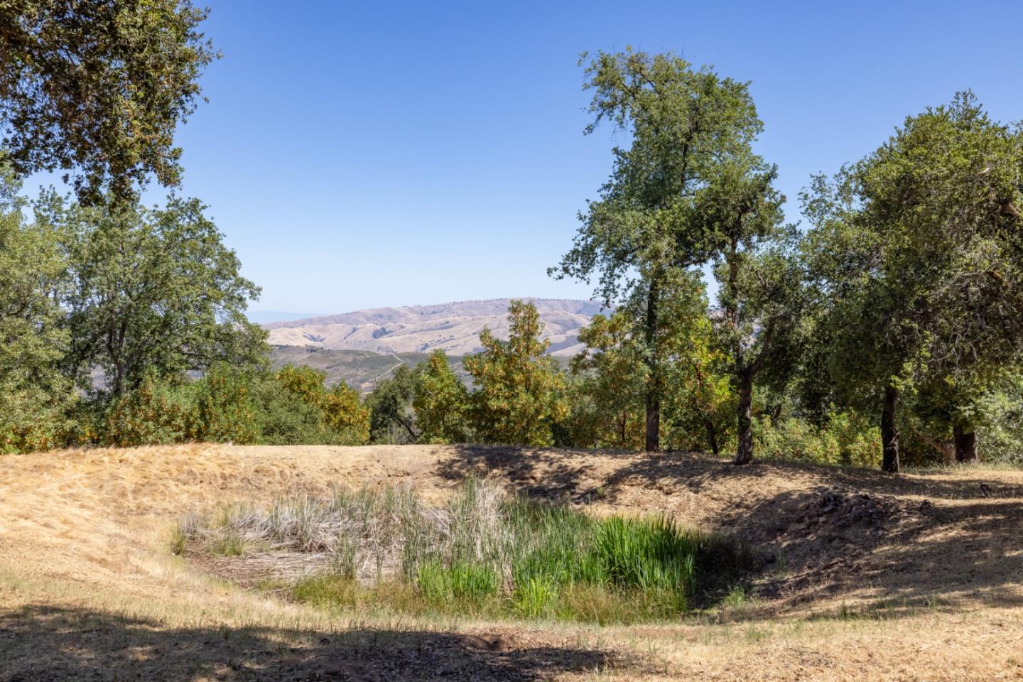 Detail Gallery Image 47 of 50 For 39537 Laurel Springs, Carmel Valley,  CA 93924 - 2 Beds | 3 Baths