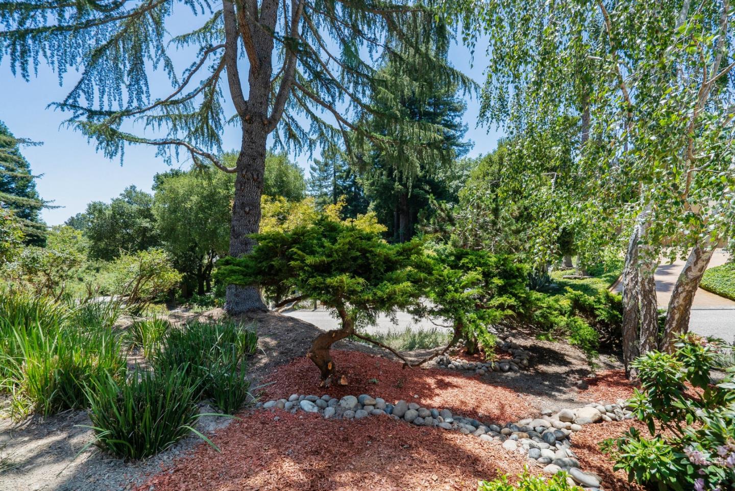 Detail Gallery Image 105 of 117 For 29 Kite Hill Rd, Santa Cruz,  CA 95060 - 3 Beds | 2/1 Baths