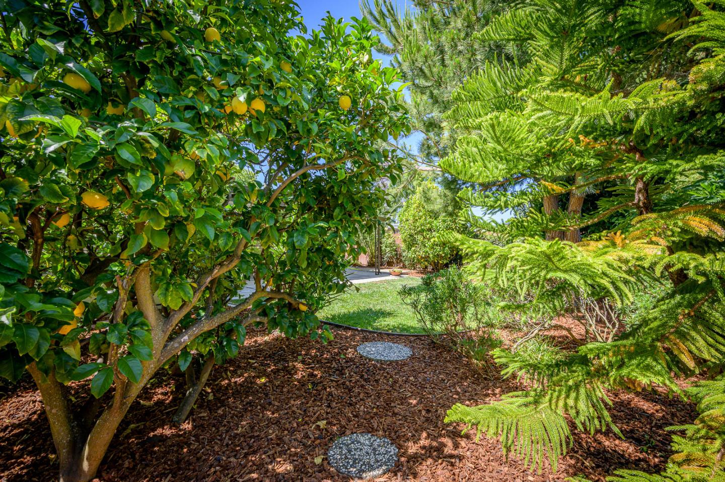 Detail Gallery Image 52 of 57 For 3129 Stelling Dr, Palo Alto,  CA 94303 - 3 Beds | 2 Baths