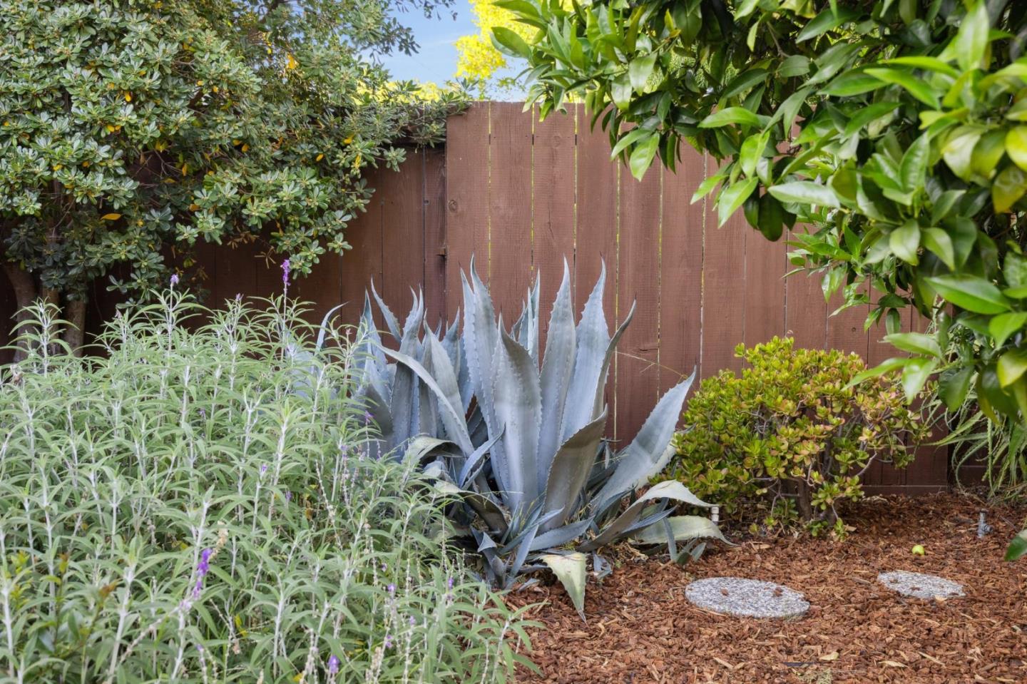 Detail Gallery Image 54 of 57 For 3129 Stelling Dr, Palo Alto,  CA 94303 - 3 Beds | 2 Baths