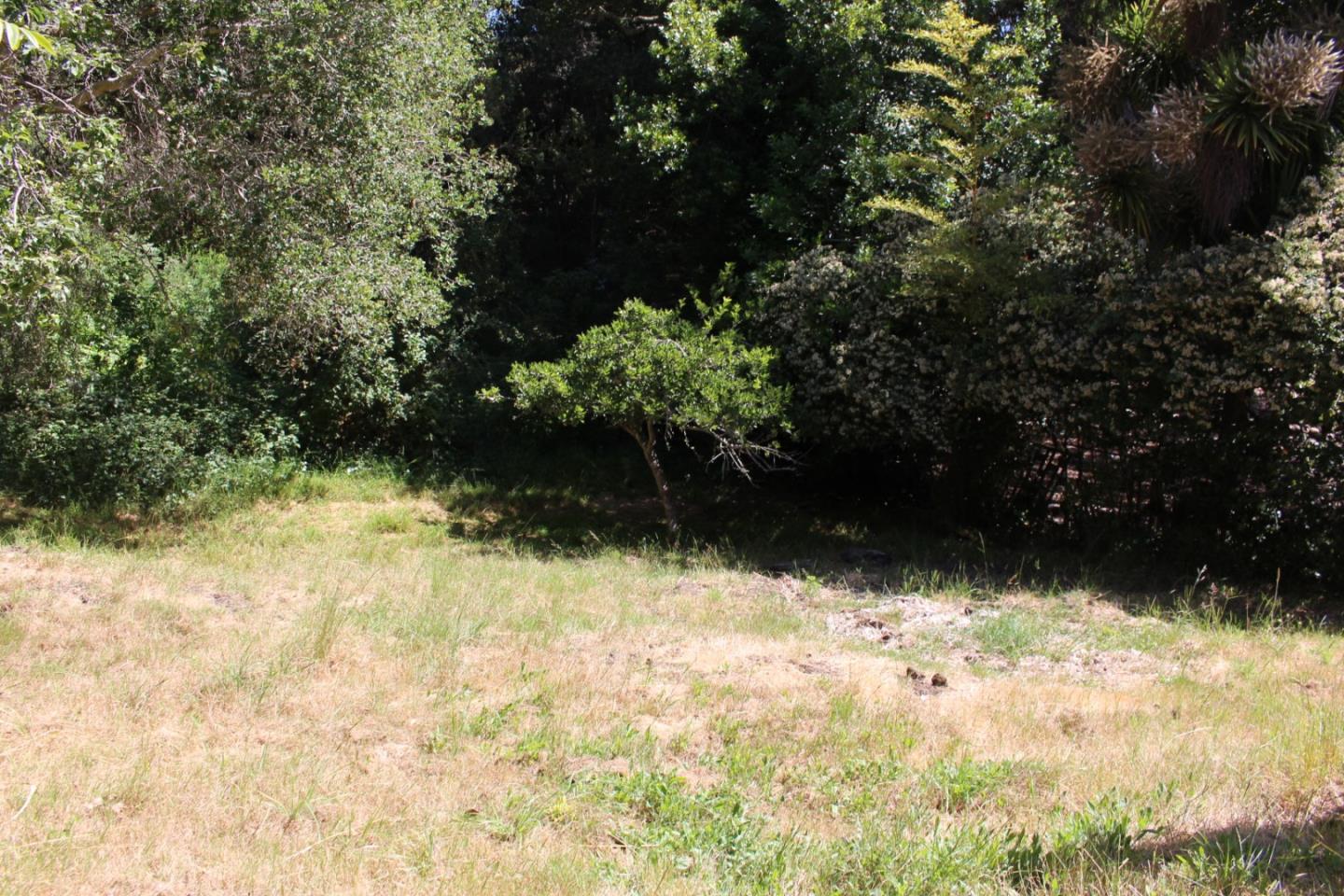 Detail Gallery Image 5 of 5 For 930 Pine Tree Ln, Seacliff,  CA 95003 - 3 Beds | 2 Baths