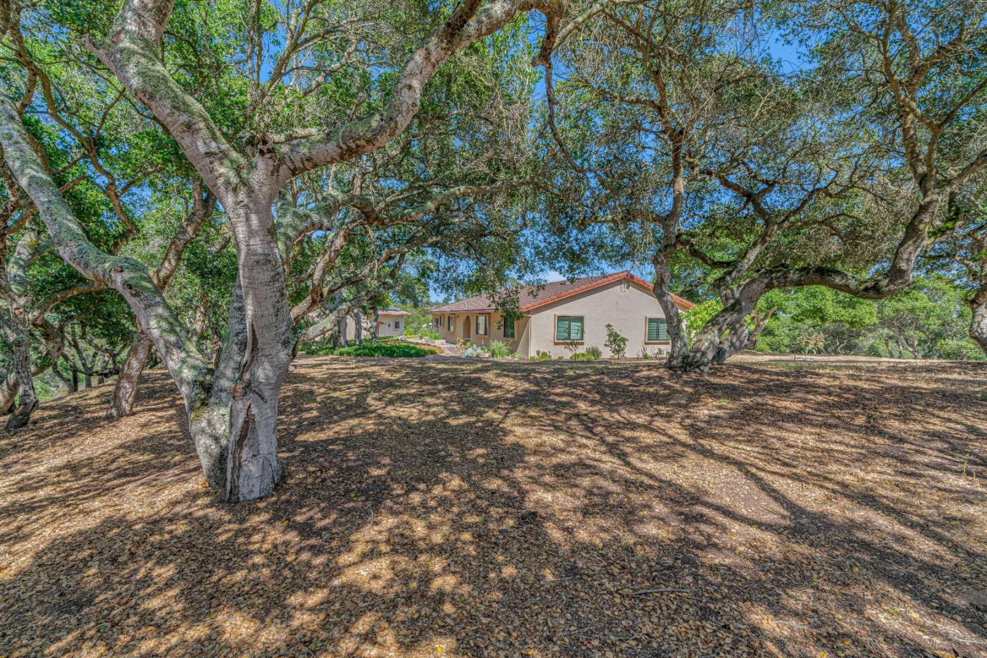 Detail Gallery Image 46 of 49 For 19225 Reavis Way, Salinas,  CA 93907 - 4 Beds | 2/1 Baths