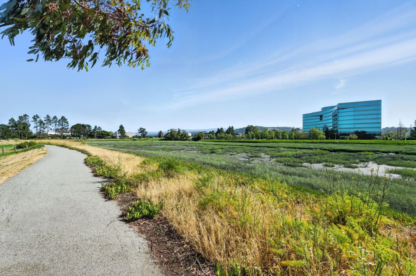 Detail Gallery Image 58 of 59 For 425 Cork Harbour Cir #G,  Redwood Shores,  CA 94065 - 2 Beds | 2 Baths