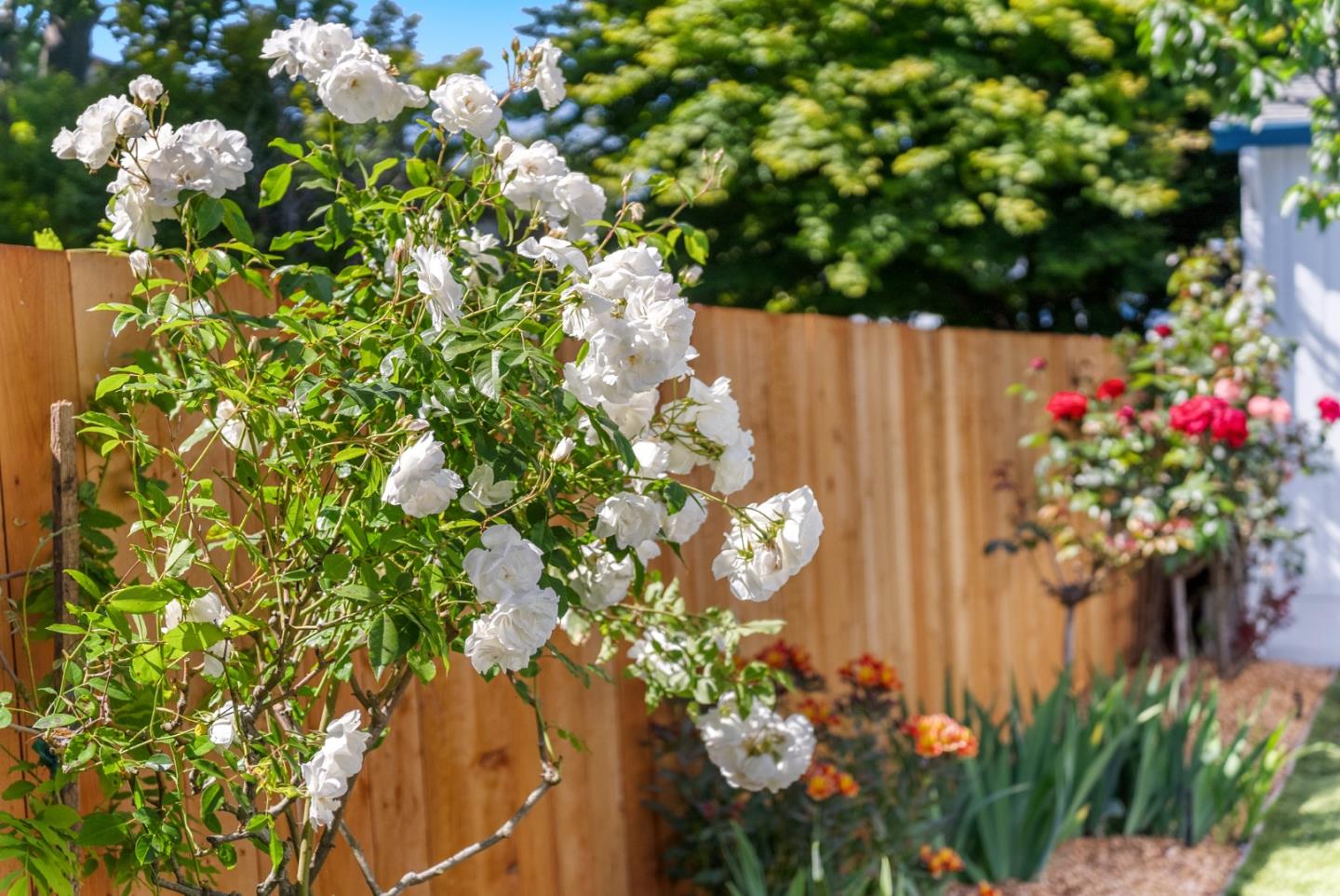 Detail Gallery Image 28 of 41 For 2257 Juan Pablo Ln, Santa Cruz,  CA 95062 - 3 Beds | 2 Baths