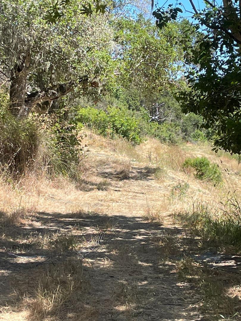 Detail Gallery Image 3 of 5 For 0 Crystal Springs Rd, Hillsborough,  CA 94010 - – Beds | – Baths