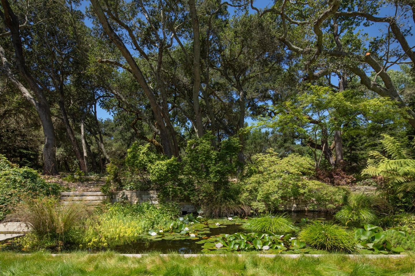 Detail Gallery Image 31 of 32 For 211 Winding Way, Woodside,  CA 94062 - 6 Beds | 6/2 Baths