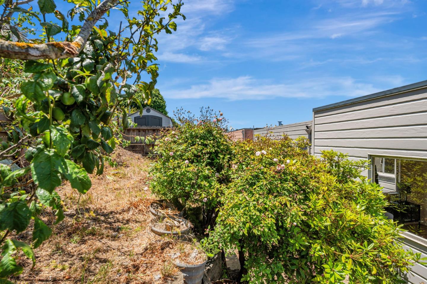 Detail Gallery Image 26 of 26 For 319 Sweeny St, San Francisco,  CA 94134 - 3 Beds | 1 Baths