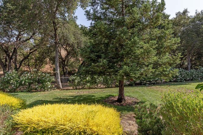 Detail Gallery Image 21 of 32 For 5185 Cribari Hls, San Jose,  CA 95135 - 2 Beds | 2 Baths