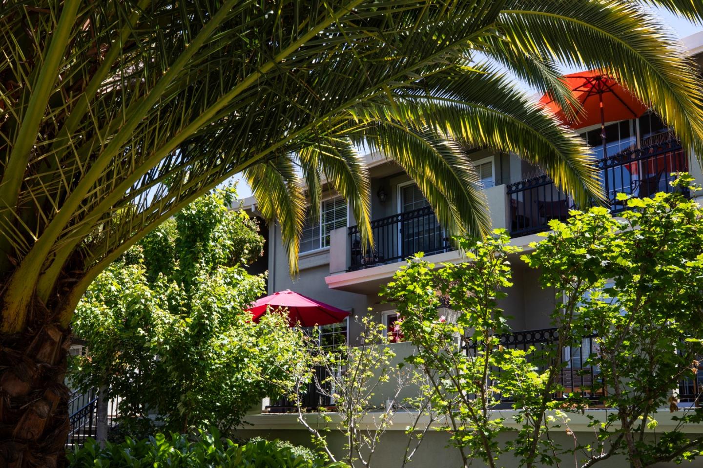 Detail Gallery Image 11 of 26 For 20 Willow Rd #5,  Menlo Park,  CA 94025 - 1 Beds | 1 Baths