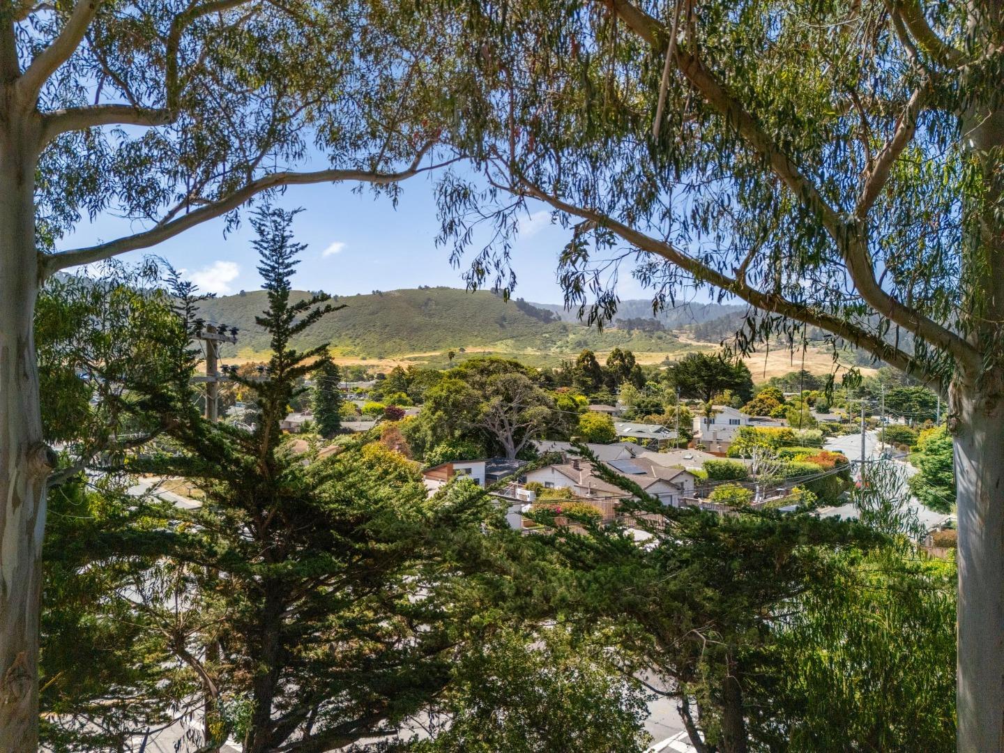 Detail Gallery Image 7 of 40 For 3405 Rio Rd, Carmel,  CA 93923 - 2 Beds | 2/1 Baths