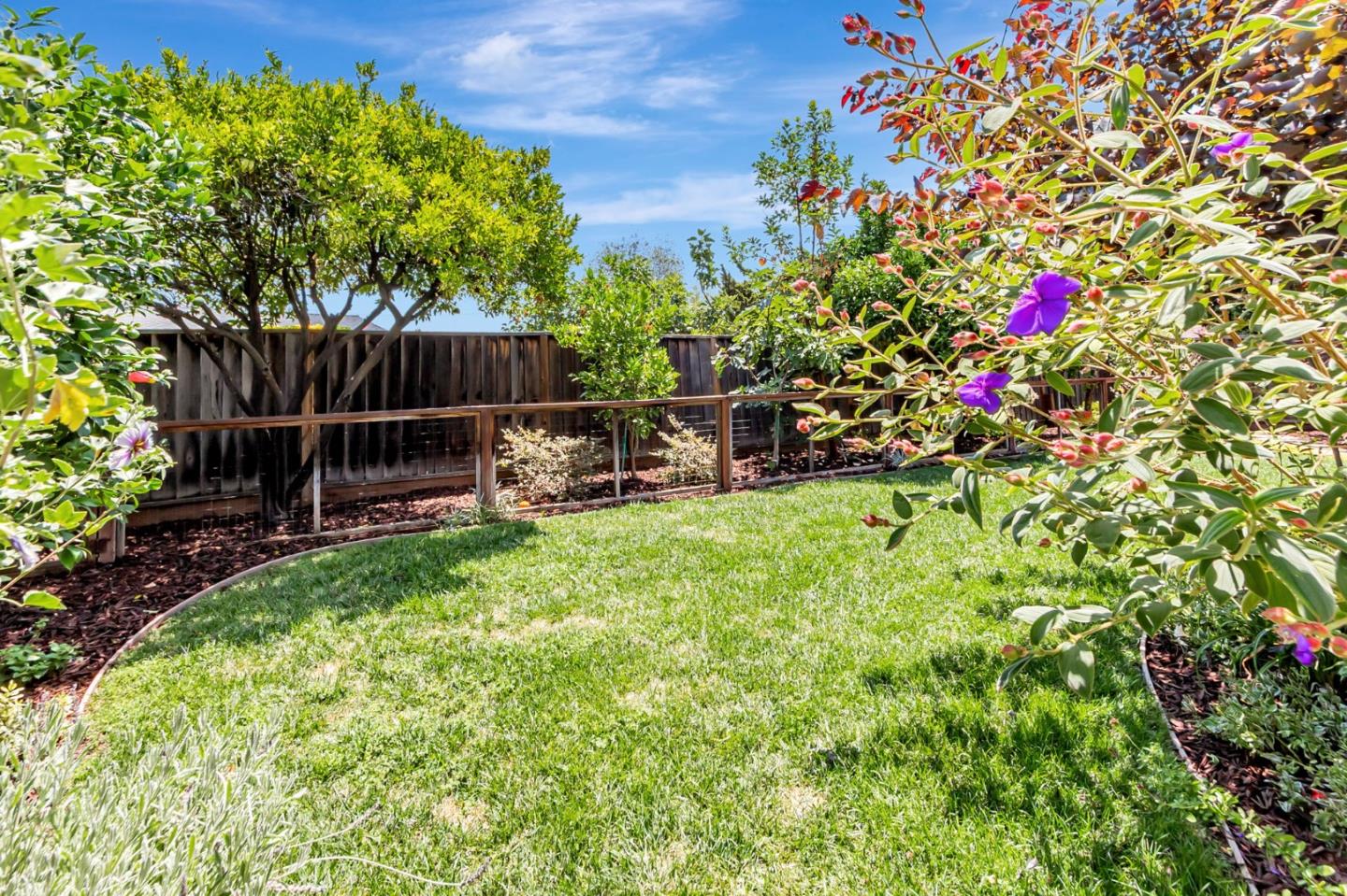 Detail Gallery Image 55 of 57 For 5412 Starcrest Dr, San Jose,  CA 95123 - 3 Beds | 2 Baths