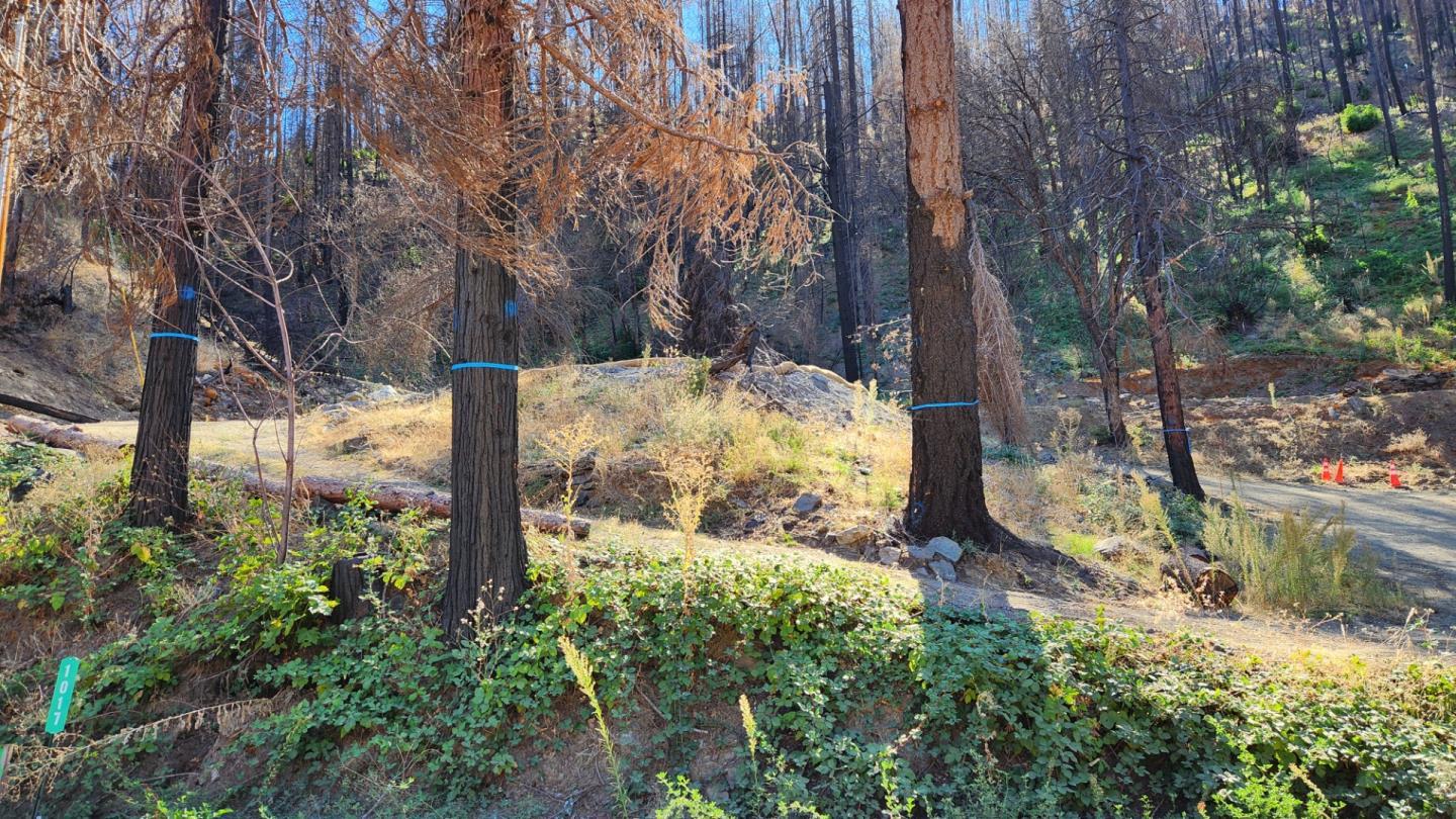 Detail Gallery Image 4 of 40 For 1017 Roxbury Dr, Scott Bar,  CA 96085 - – Beds | – Baths