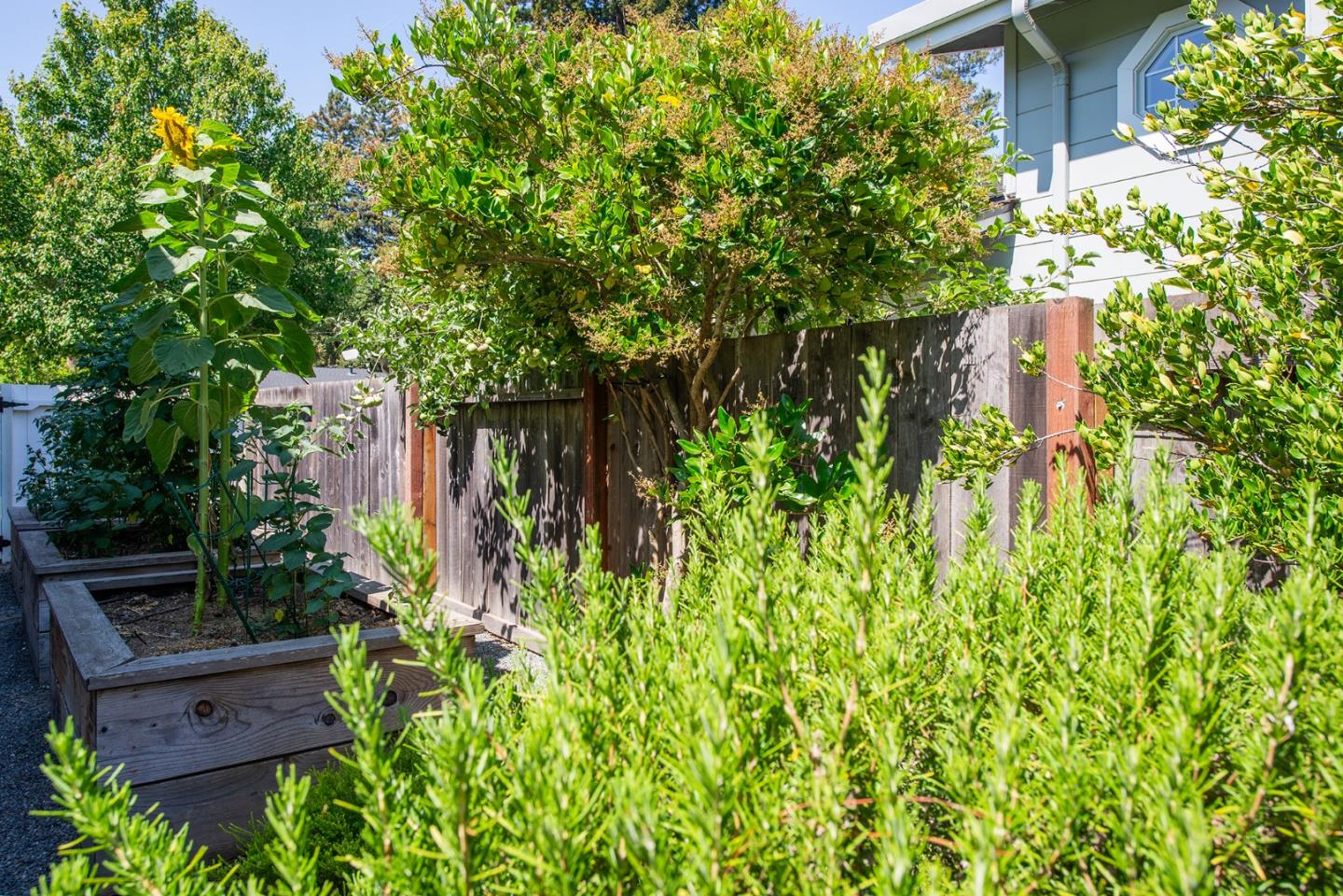 Detail Gallery Image 33 of 42 For 1360 Elder Ave, Menlo Park,  CA 94025 - 4 Beds | 3 Baths