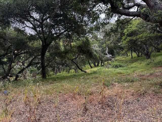 Detail Gallery Image 11 of 17 For 0 Pesante Rd, Salinas,  CA 93907 - – Beds | – Baths