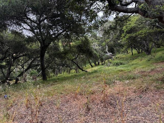 Detail Gallery Image 12 of 17 For 0 Pesante Rd, Salinas,  CA 93907 - – Beds | – Baths