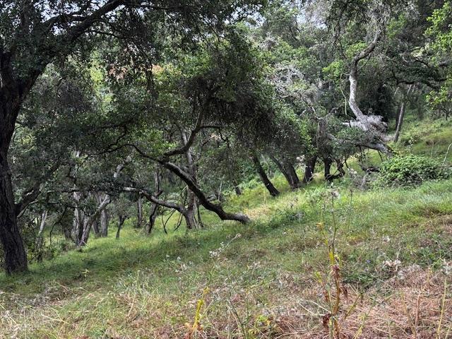 Detail Gallery Image 15 of 17 For 0 Pesante Rd, Salinas,  CA 93907 - – Beds | – Baths