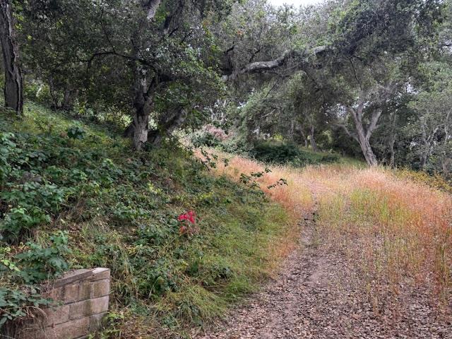 Detail Gallery Image 2 of 17 For 0 Pesante Rd, Salinas,  CA 93907 - – Beds | – Baths