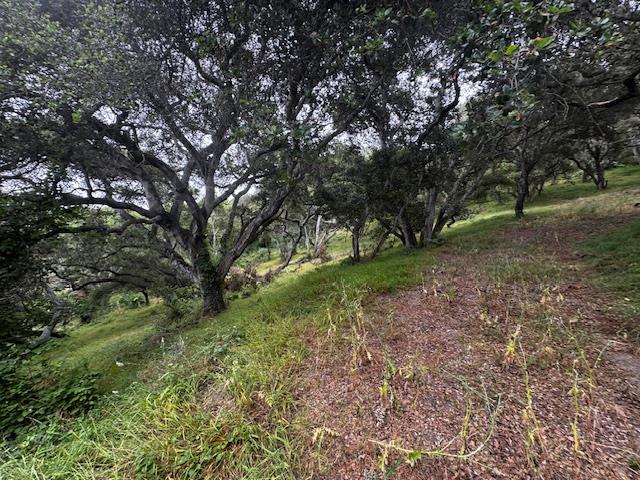 Detail Gallery Image 4 of 17 For 0 Pesante Rd, Salinas,  CA 93907 - – Beds | – Baths