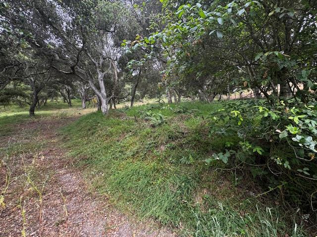 Detail Gallery Image 5 of 17 For 0 Pesante Rd, Salinas,  CA 93907 - – Beds | – Baths