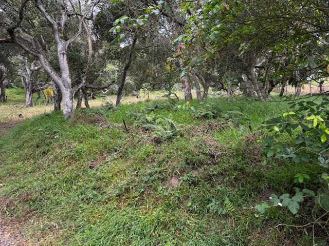 Detail Gallery Image 6 of 17 For 0 Pesante Rd, Salinas,  CA 93907 - – Beds | – Baths
