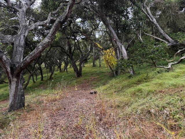 Detail Gallery Image 9 of 17 For 0 Pesante Rd, Salinas,  CA 93907 - – Beds | – Baths