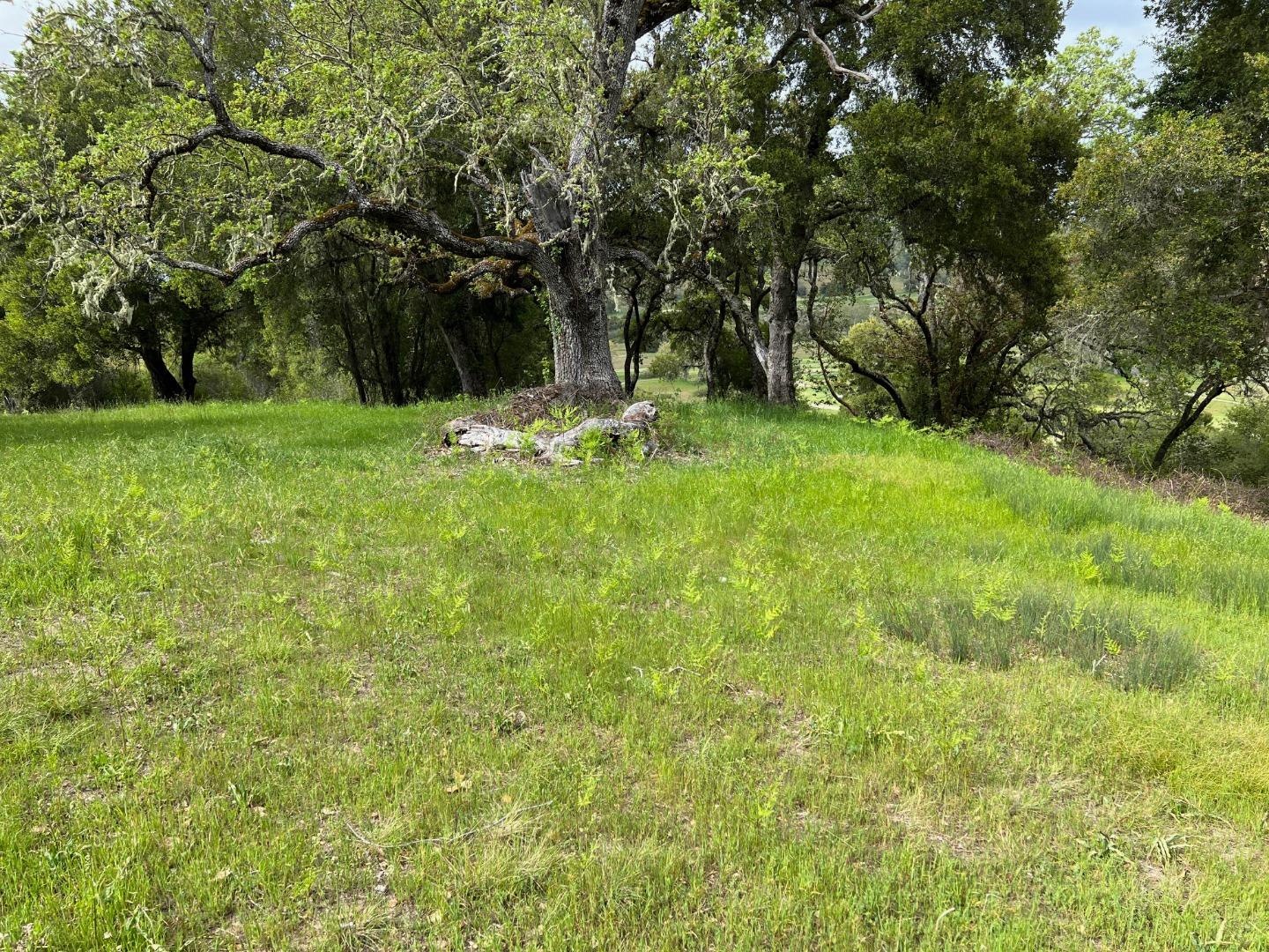 Detail Gallery Image 25 of 37 For 6 Arroyo Sequoia, Carmel,  CA 93923 - – Beds | – Baths