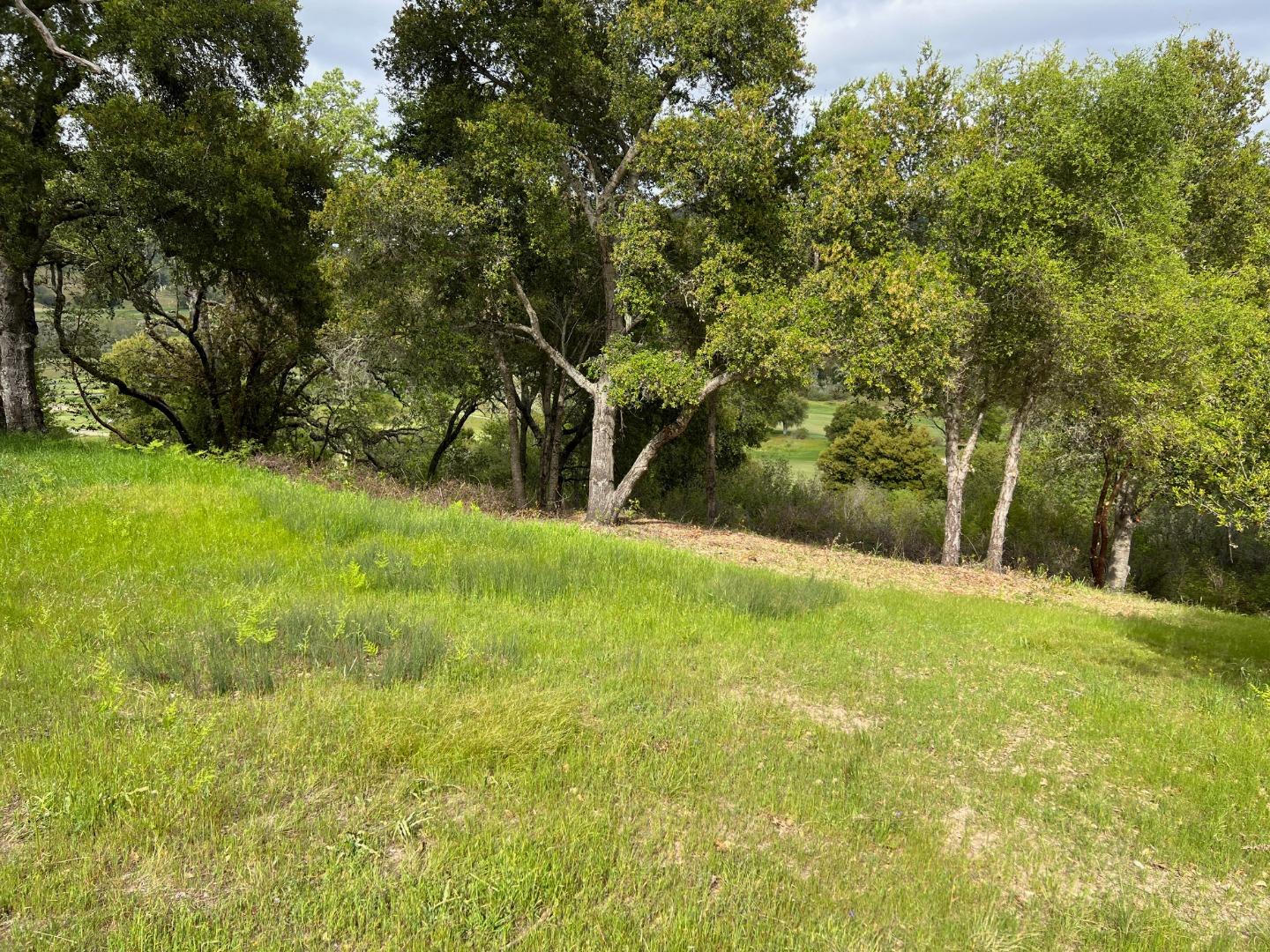 Detail Gallery Image 26 of 37 For 6 Arroyo Sequoia, Carmel,  CA 93923 - – Beds | – Baths
