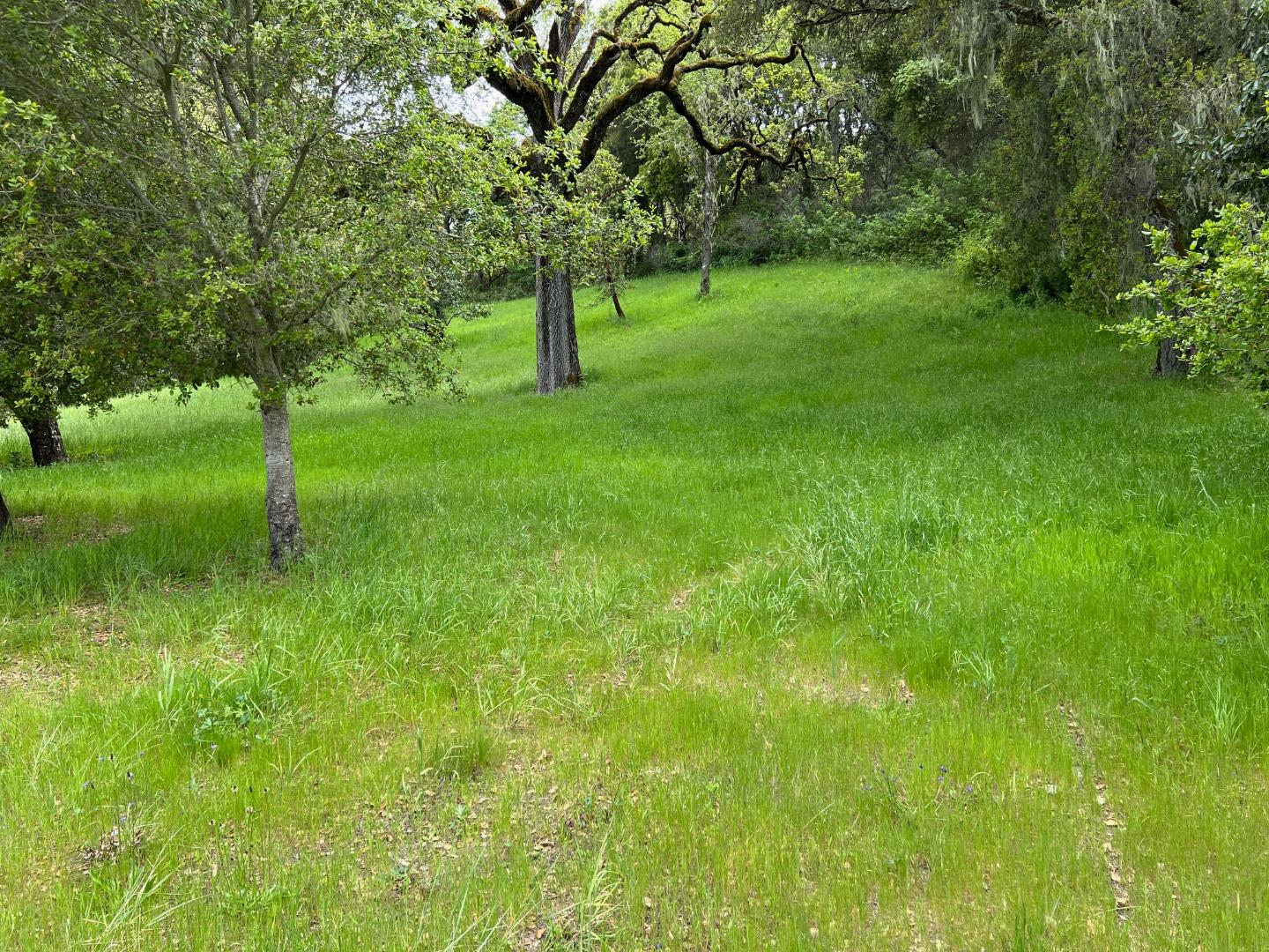 Detail Gallery Image 32 of 37 For 6 Arroyo Sequoia, Carmel,  CA 93923 - – Beds | – Baths
