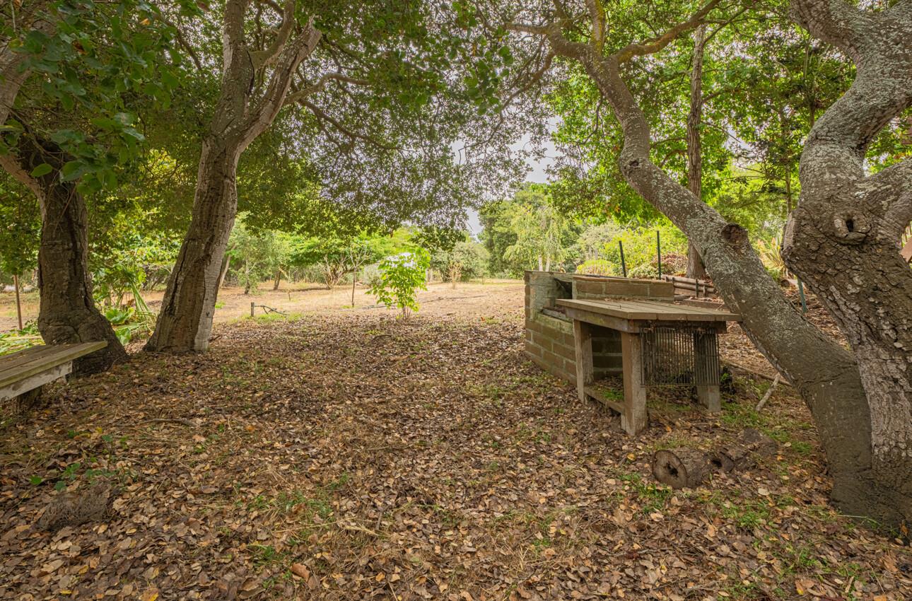 Detail Gallery Image 65 of 75 For 75 Bayview Rd, Castroville,  CA 95012 - 3 Beds | 2/1 Baths