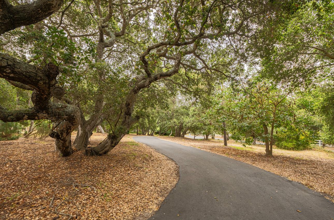 Detail Gallery Image 72 of 75 For 75 Bayview Rd, Castroville,  CA 95012 - 3 Beds | 2/1 Baths