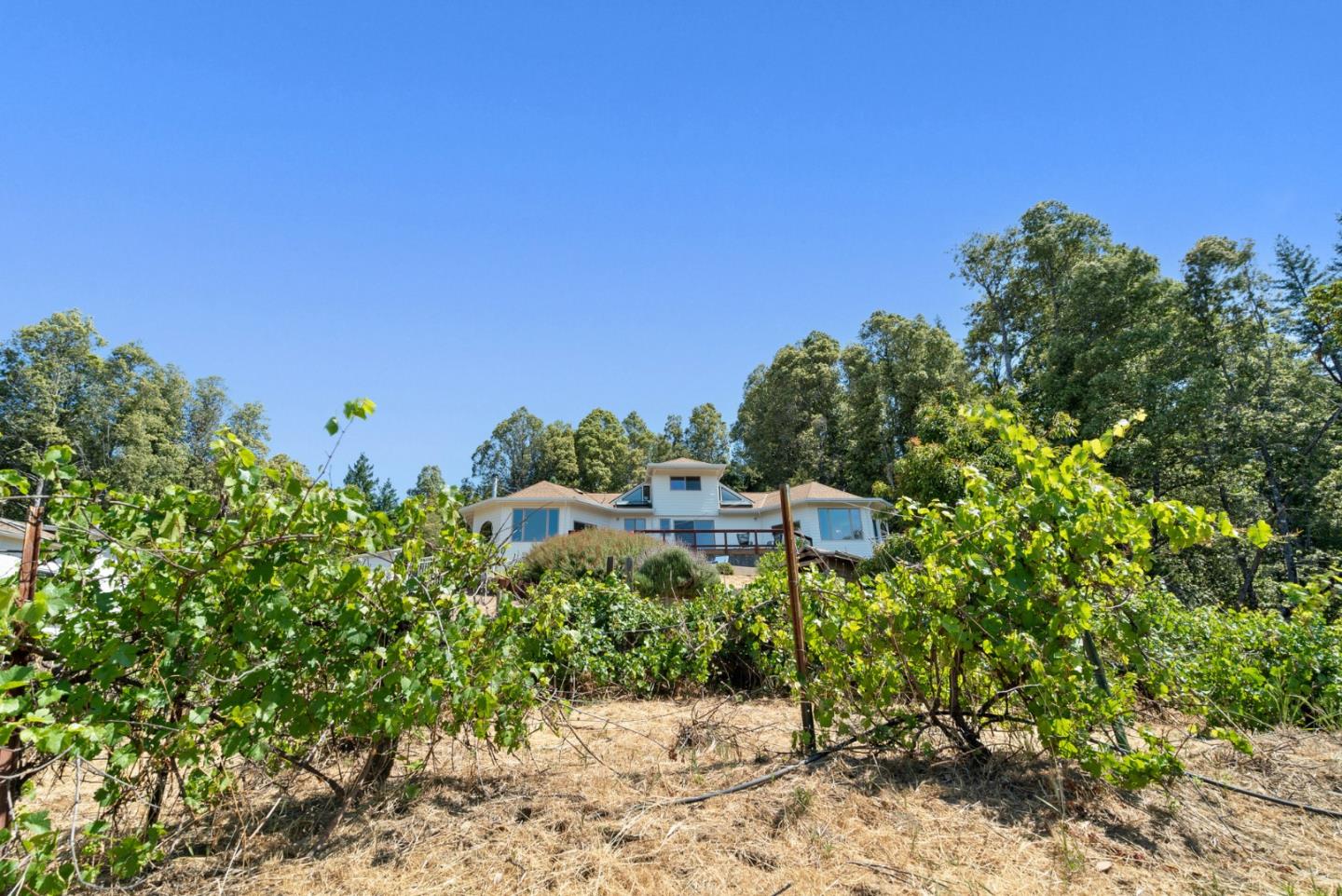 Detail Gallery Image 44 of 83 For 335 Wild Iris Ln, Santa Cruz,  CA 95060 - 3 Beds | 2/1 Baths