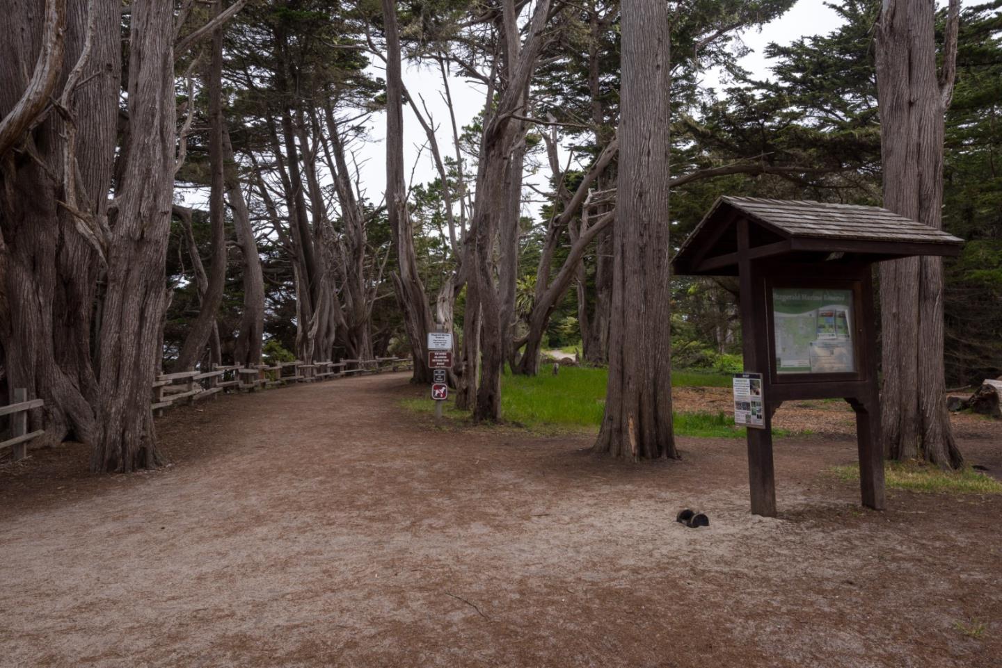 Detail Gallery Image 10 of 13 For 0000 Oak Ave, Moss Beach,  CA 94038 - – Beds | – Baths