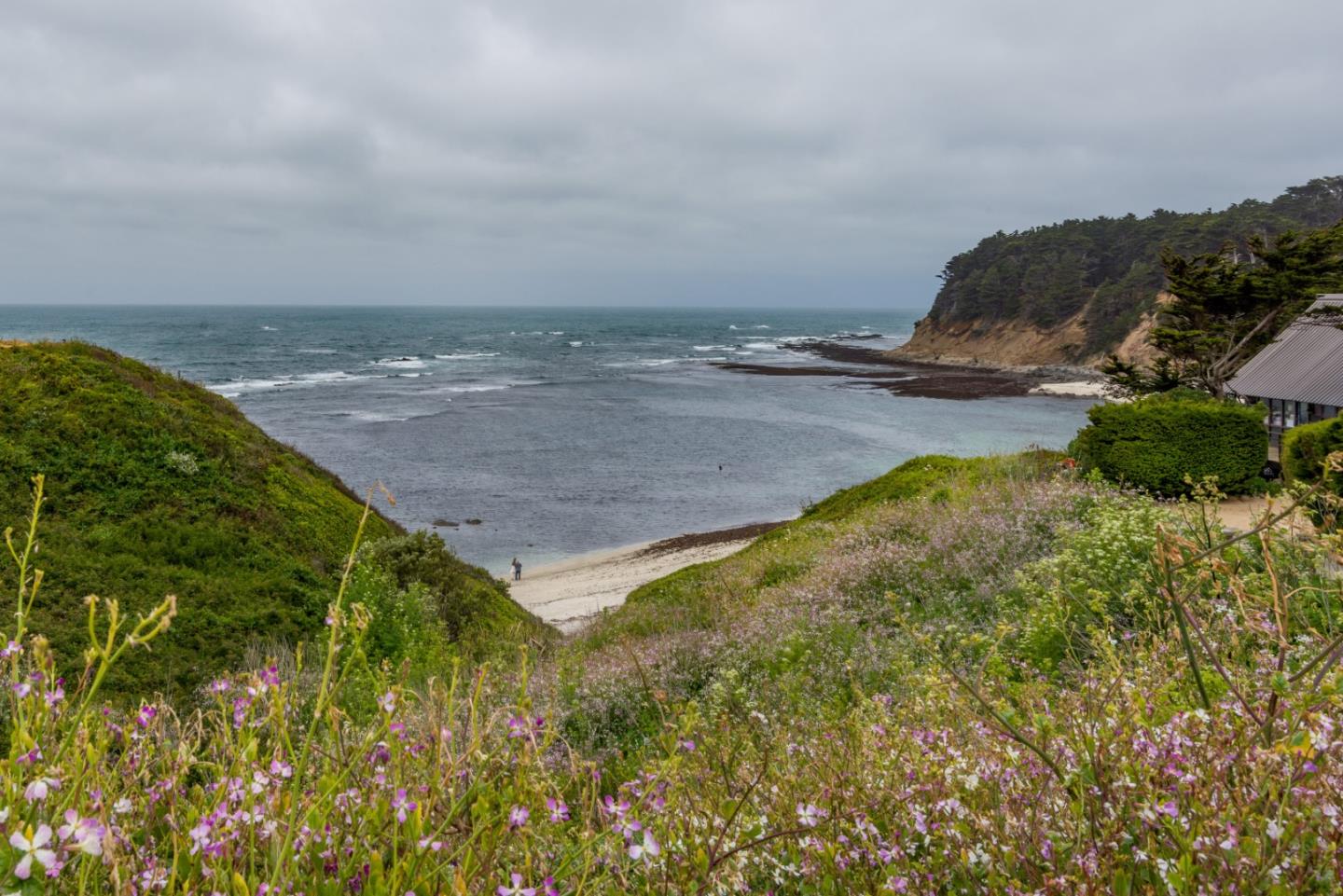 Detail Gallery Image 12 of 13 For 0000 Oak Ave, Moss Beach,  CA 94038 - – Beds | – Baths
