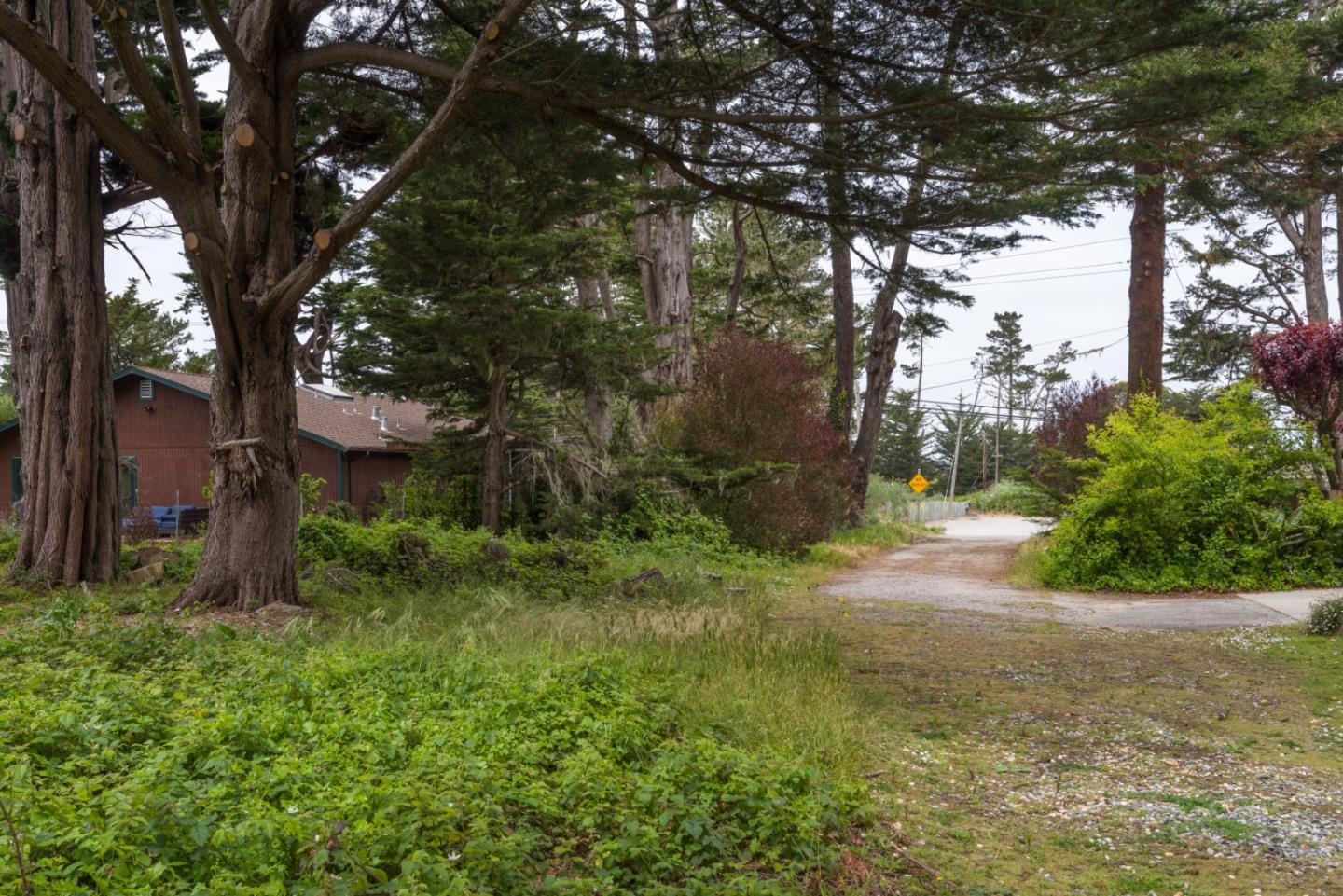 Detail Gallery Image 7 of 13 For 0000 Oak Ave, Moss Beach,  CA 94038 - – Beds | – Baths