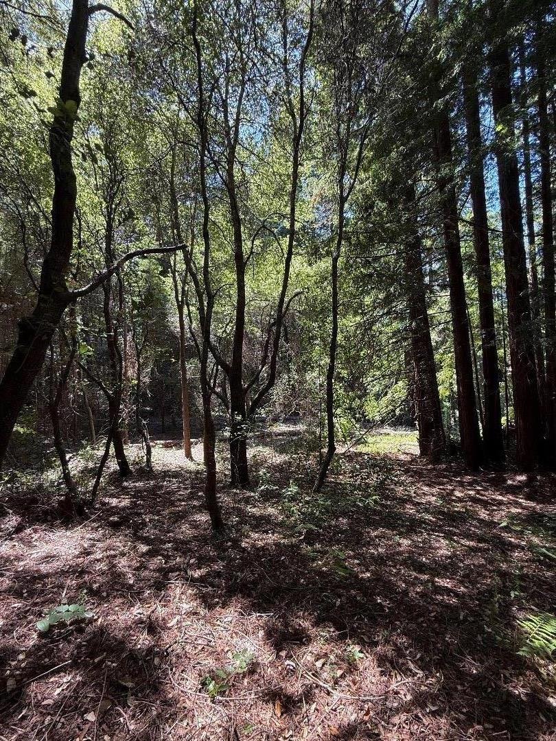 Detail Gallery Image 11 of 24 For 0 Circle Way, Boulder Creek,  CA 95006 - – Beds | – Baths